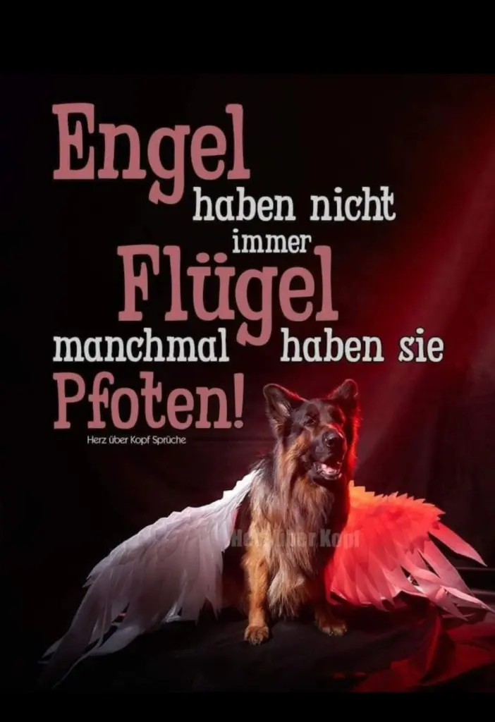 Condolence image of REGINA