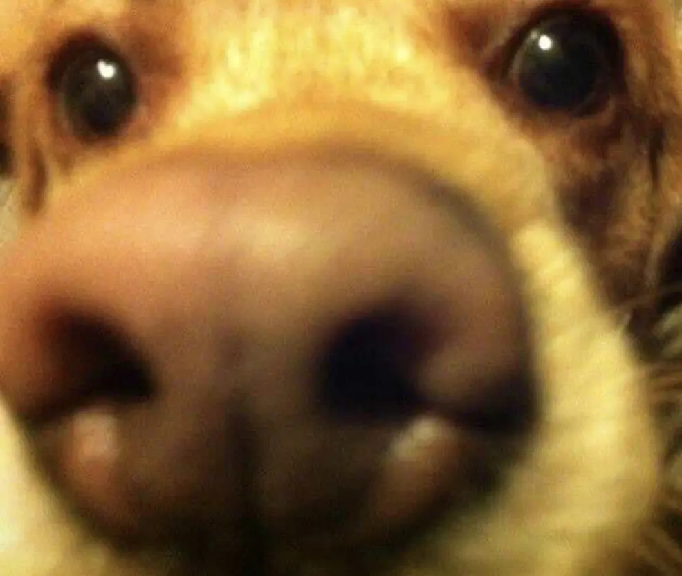 Condolence image of Daniela 