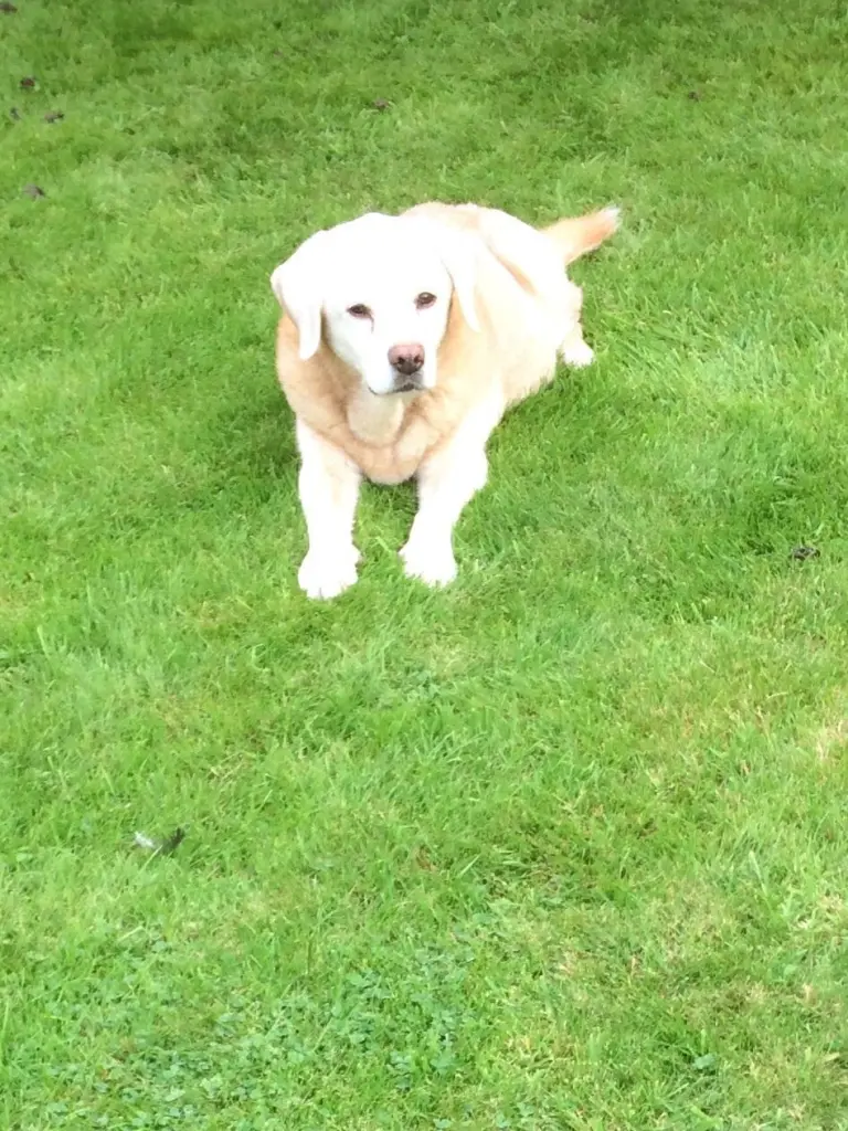 Condolence image of Daniela 