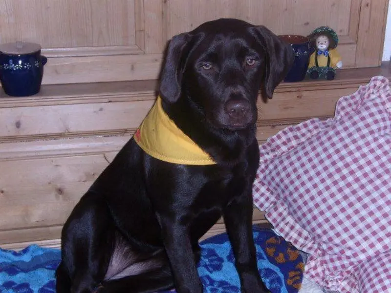 Condolence image of Rebecca