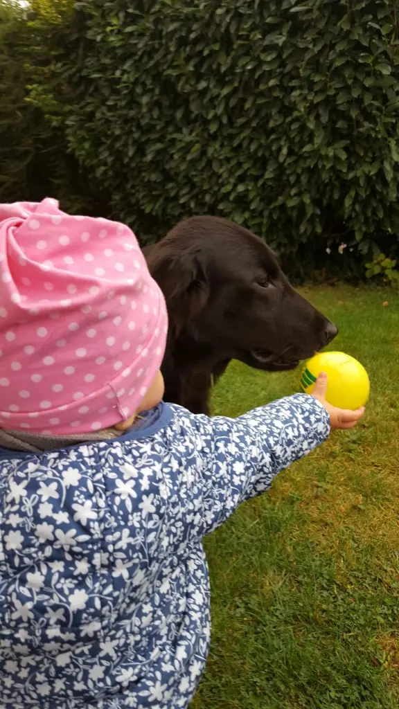 Condolence image of Leni 