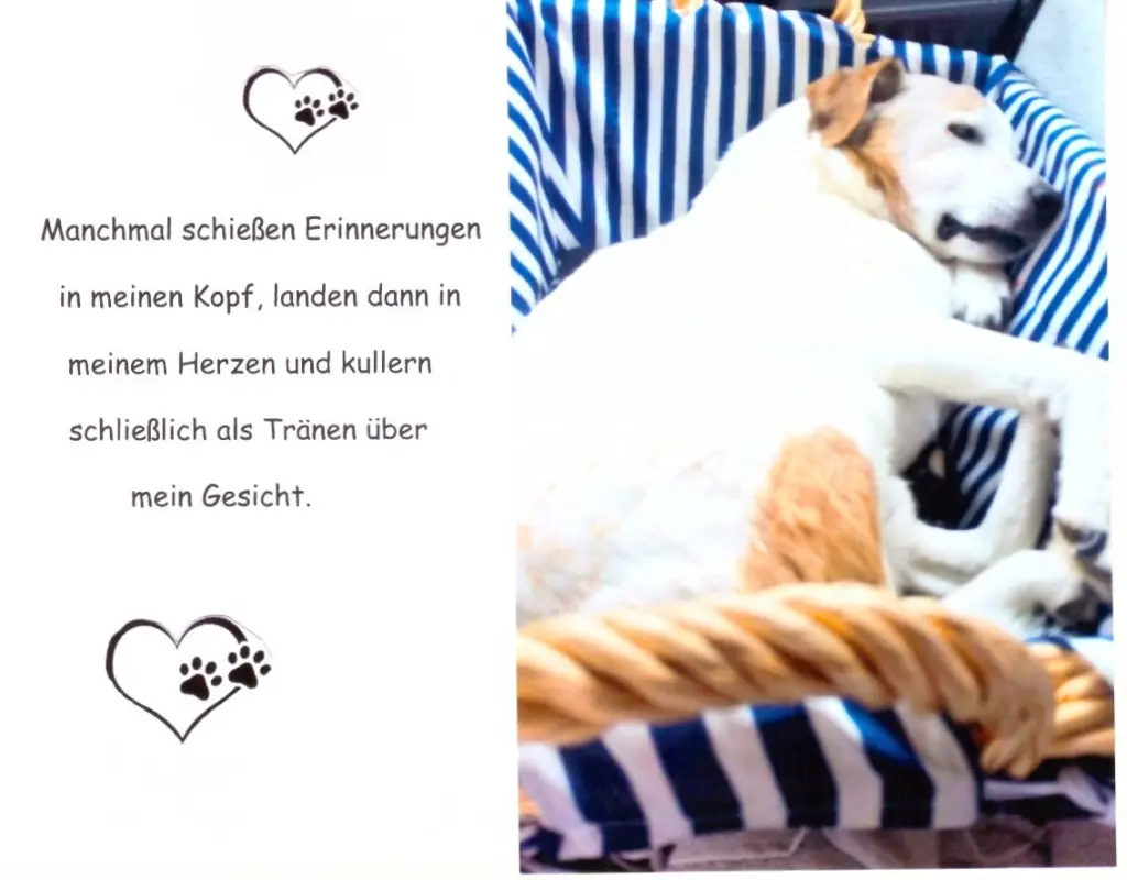 Andachtsbild von Paul mit Seelenhund " Spiky "