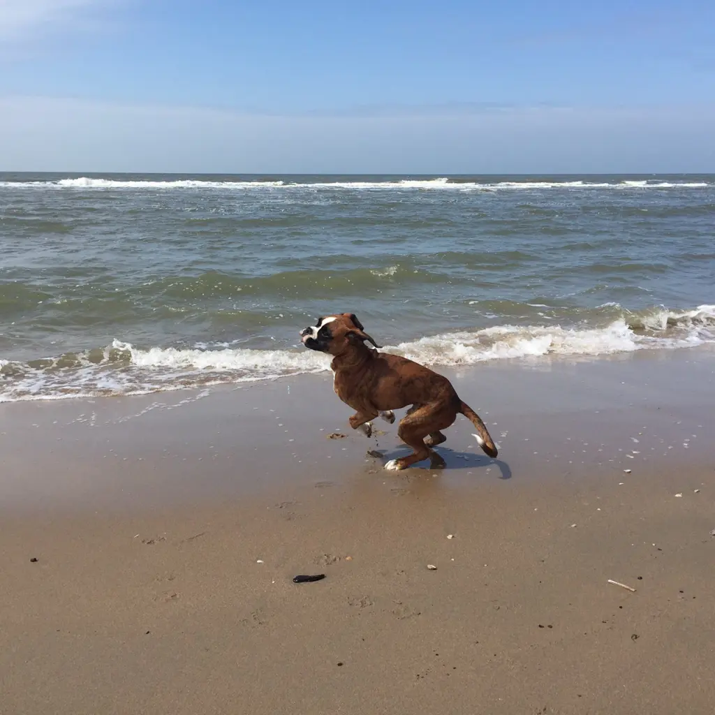Andachtsbild von Karina und Jörg mit Floyd im Herzen