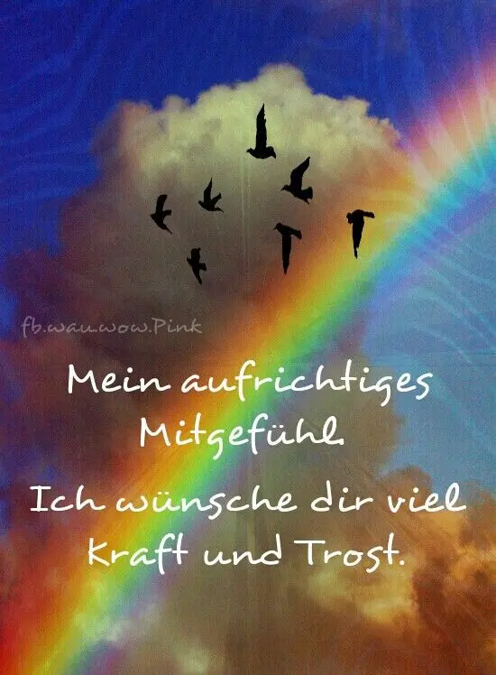 Condolence image of Paul mit Seelenhund " Spiky "