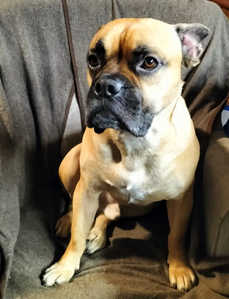 Condolence image of Dirk