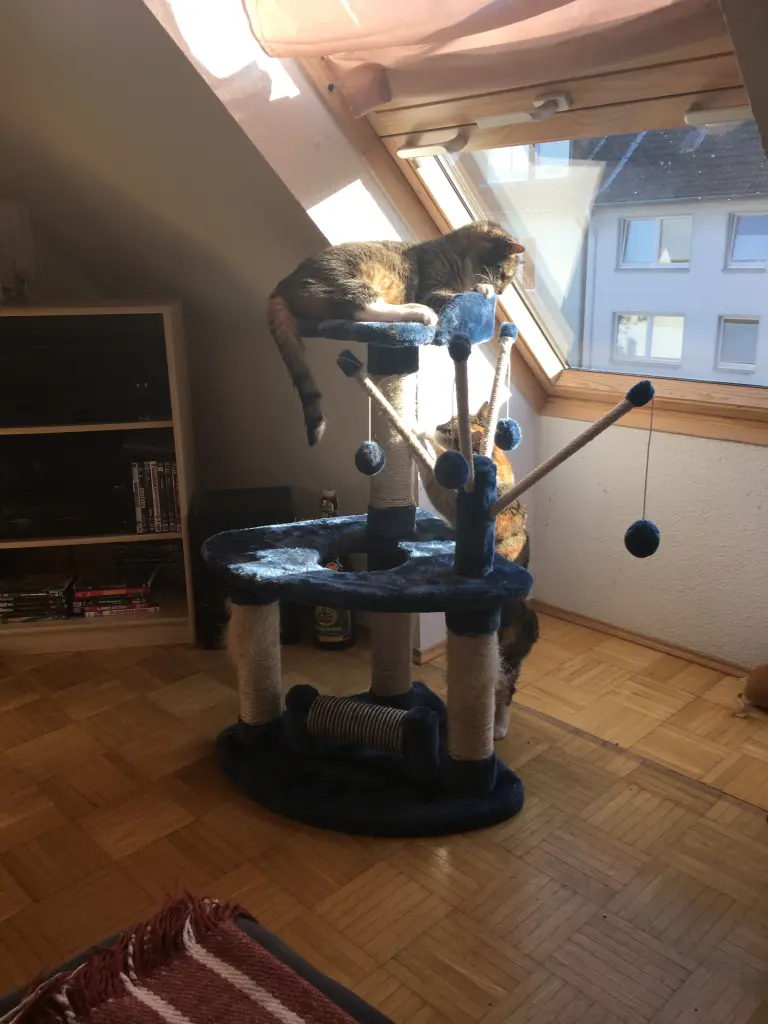 Condolence image of Dieter Grimm