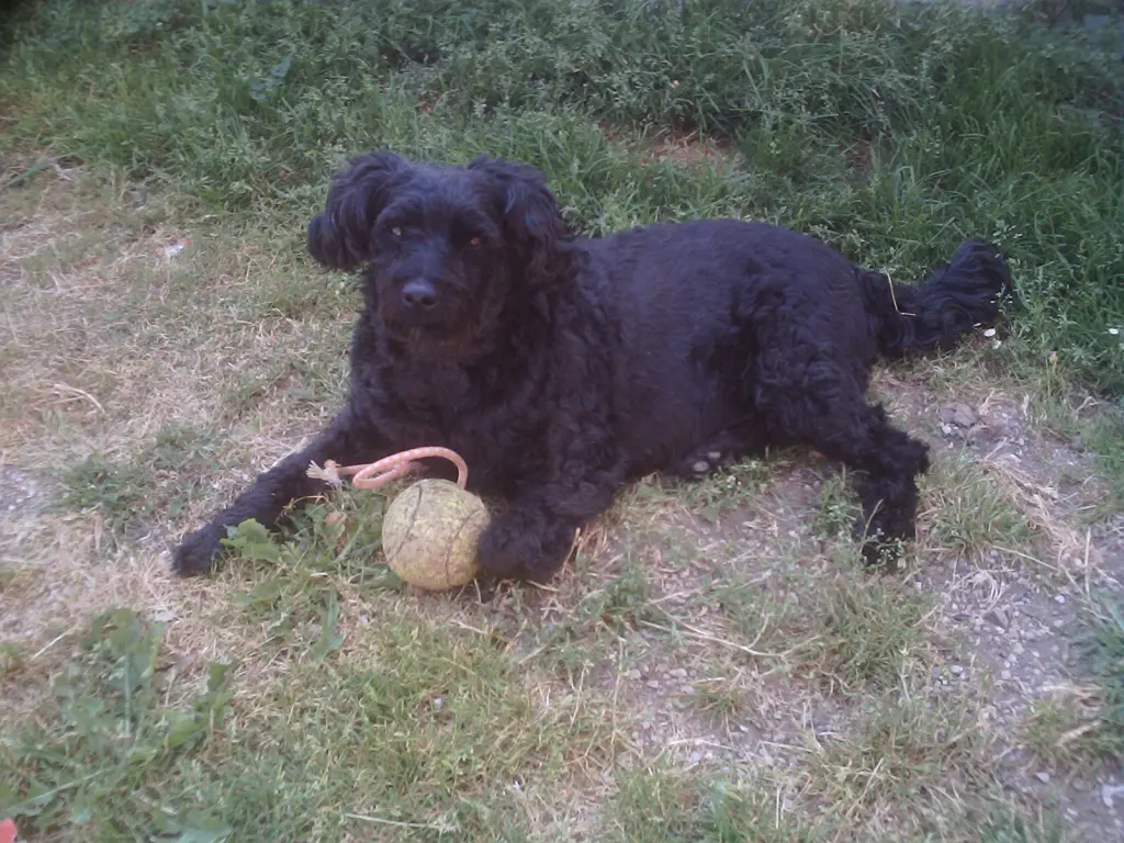 Condolence image of Annemarie Katharina 