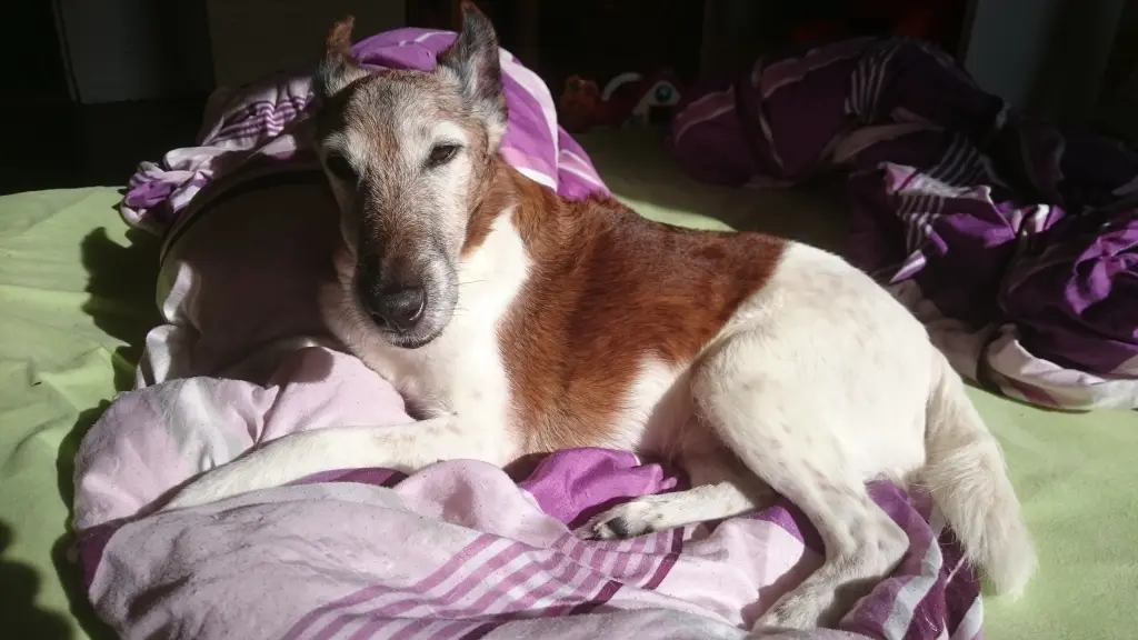 Condolence image of Oliver Kühl 