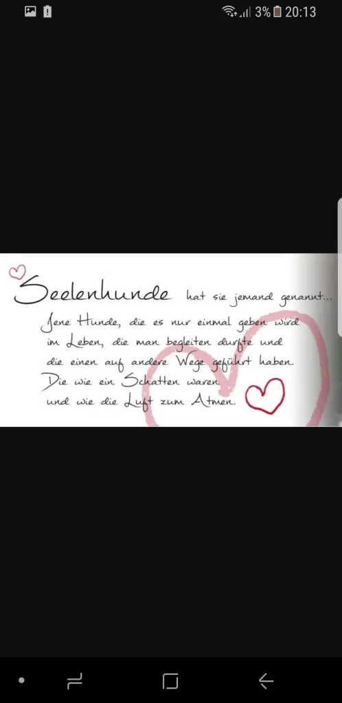 Condolence image of Bianca Dogan