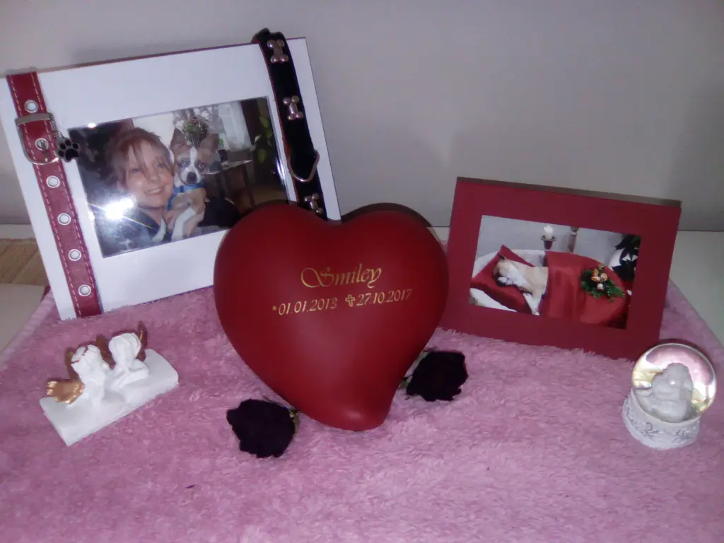 Condolence image of Claudia