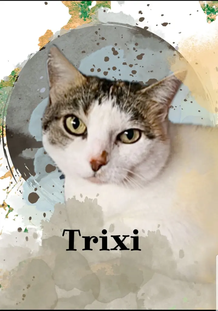 Andachtsbild von Ulla