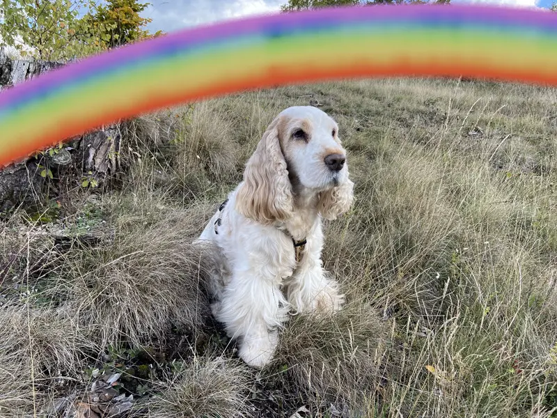 Andachtsbild von Gerda