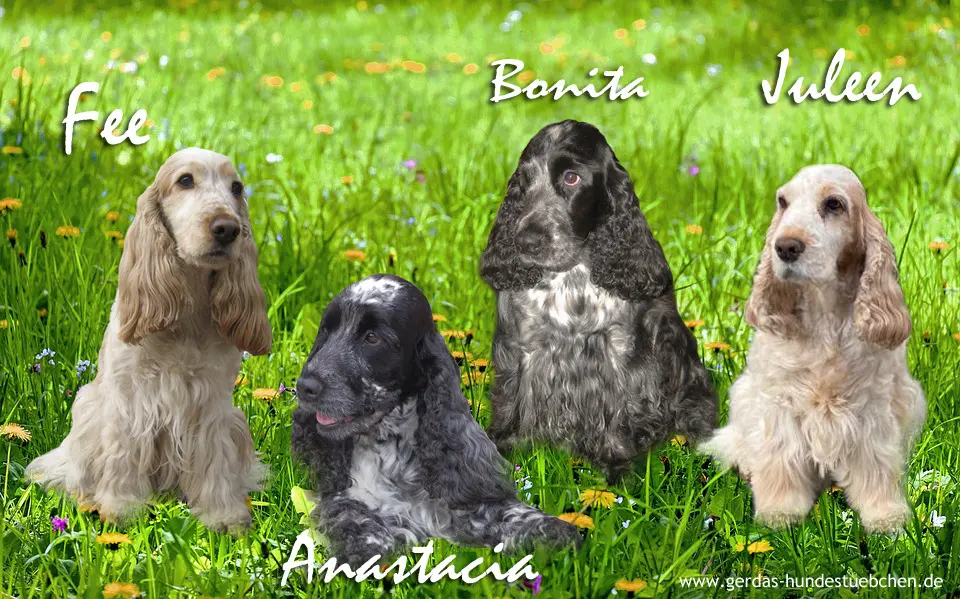 Andachtsbild von Dein Frauchen