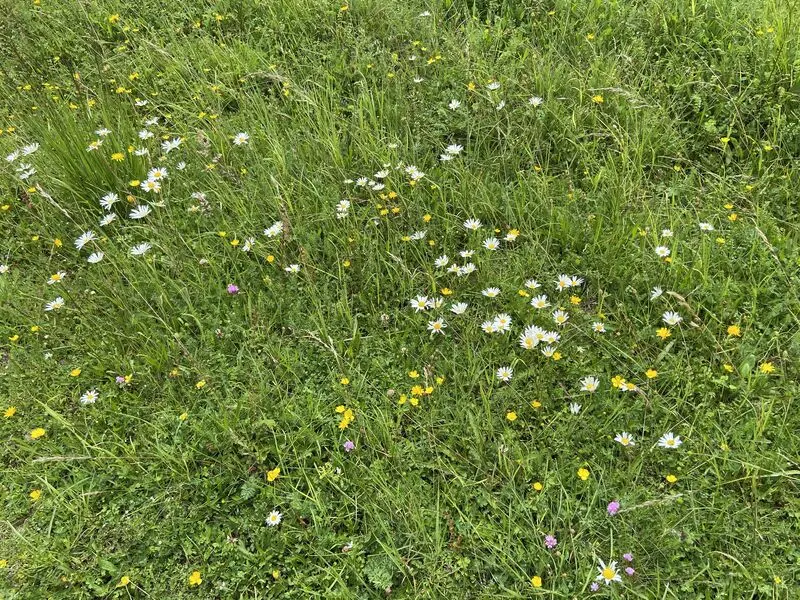 Andachtsbild von In Liebe