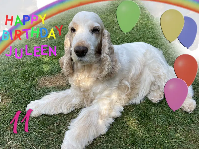 Andachtsbild von Herzlichen Glückwunsch