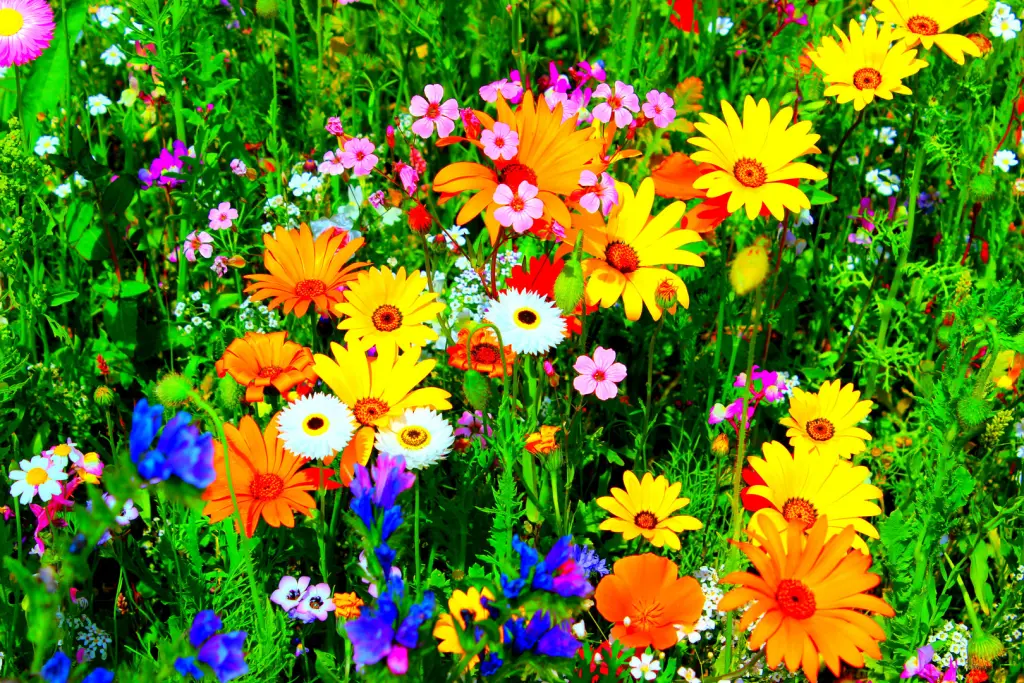 Andachtsbild von Balu für Juleen