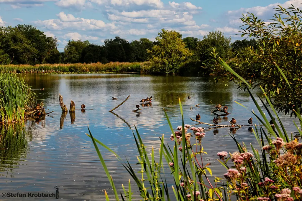 Andachtsbild von Balu