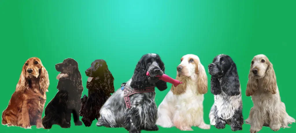 Andachtsbild von euer Frauchen und Herrchen