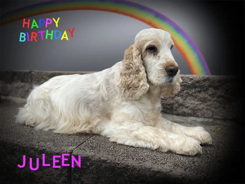 Andachtsbild von Dein Frauchen,Dein Herrchen