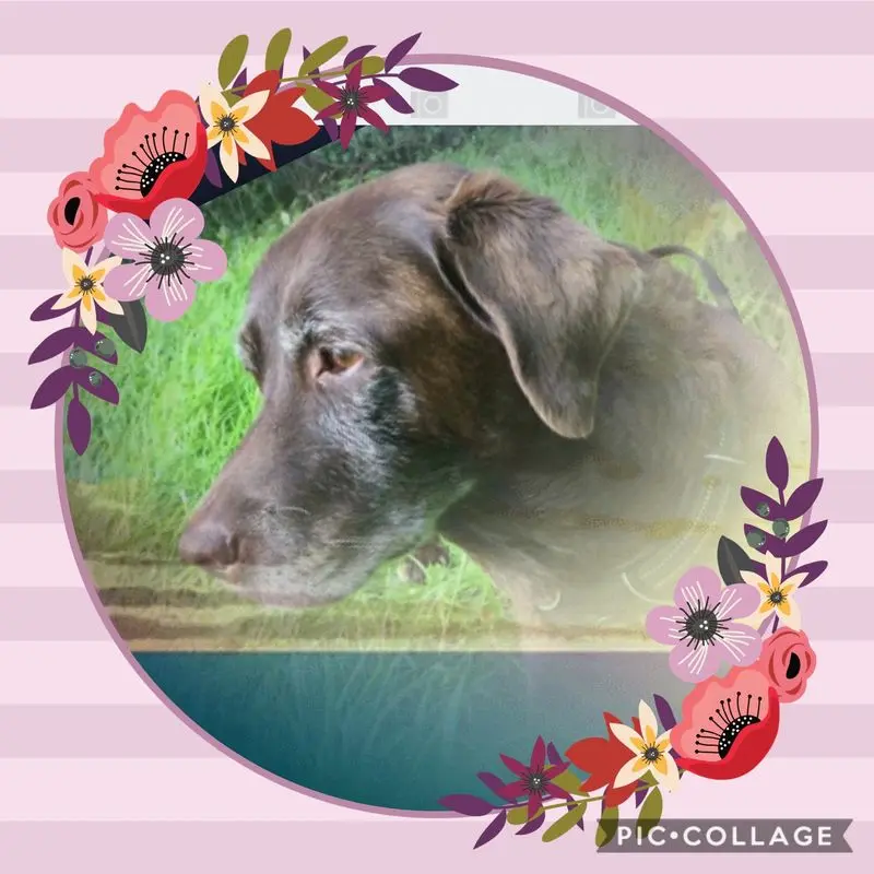 Condolence image of Brigitte