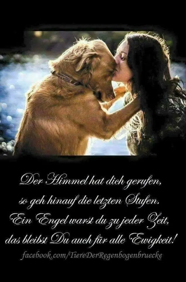 Condolence image of Frauchen
