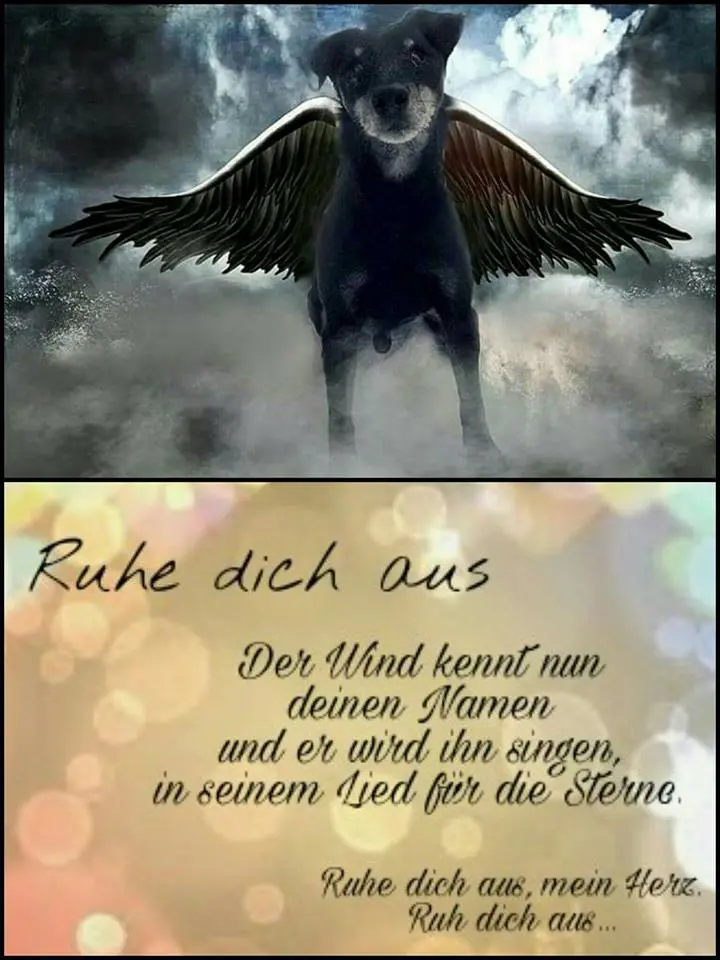Condolence image of Unbekannt