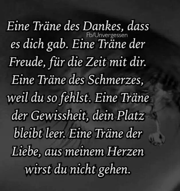 Condolence image of Frauchen Mama