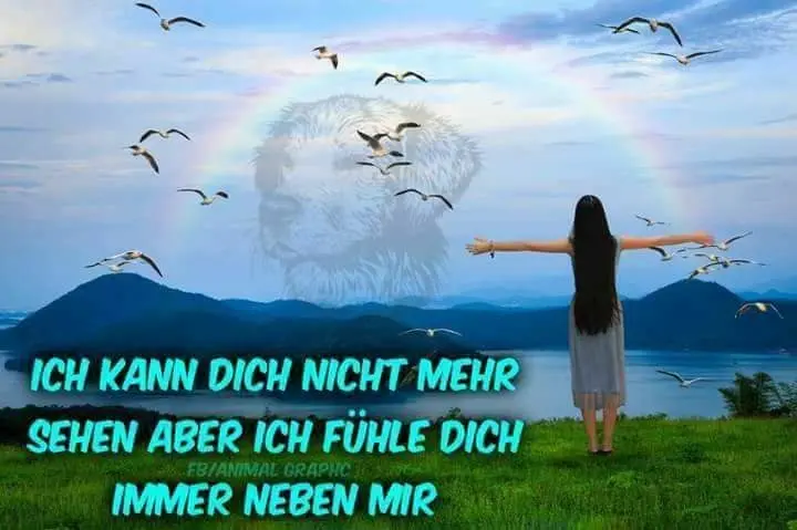 Condolence image of Frauchen