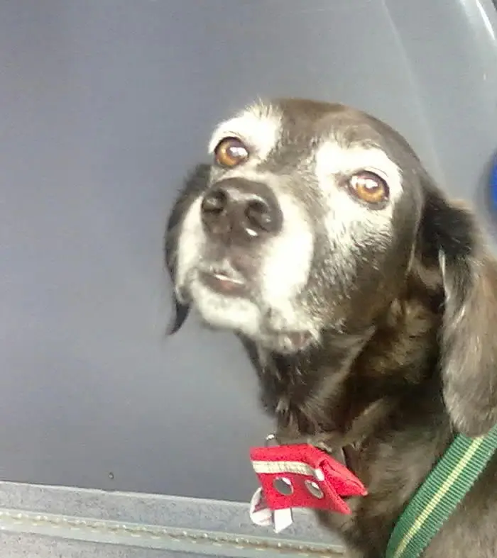 Condolence image of Erika