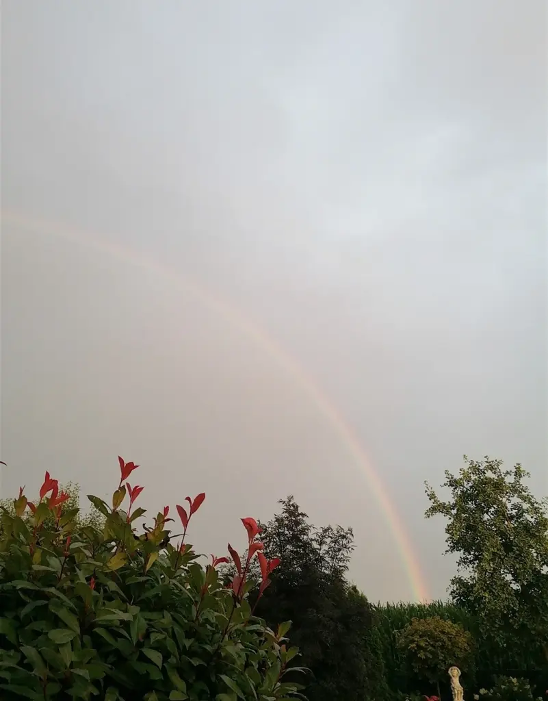 Condolence image of Gaby mit Snowy* 