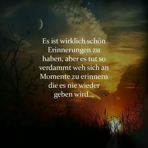 Condolence image of Paul mit Seelenhund " Spiky " 19. Juni 2023