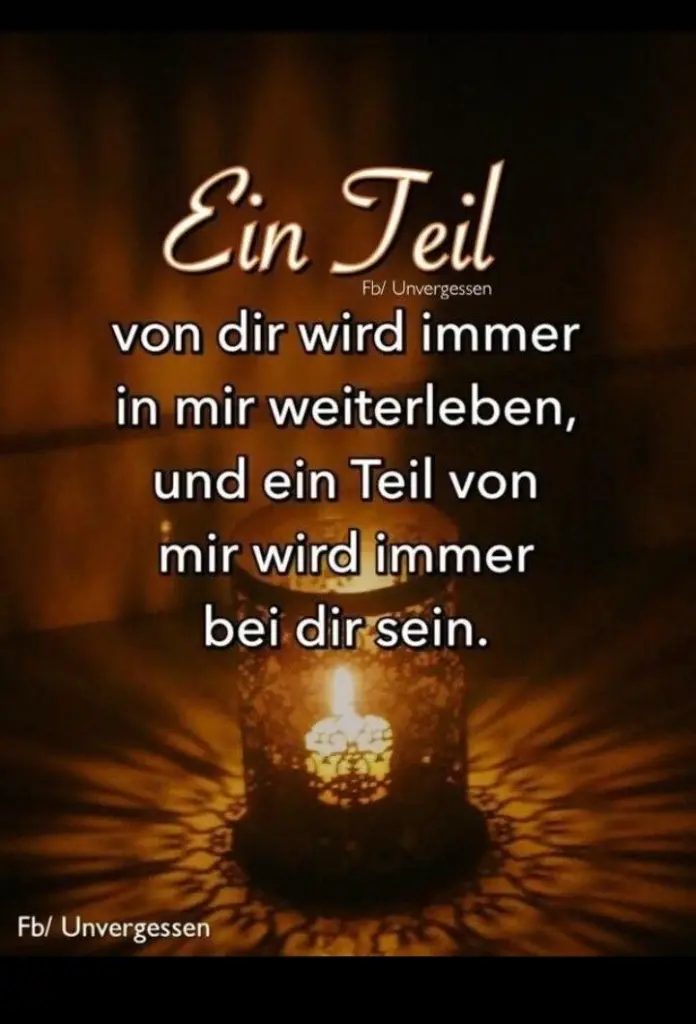 Condolence image of Spiky