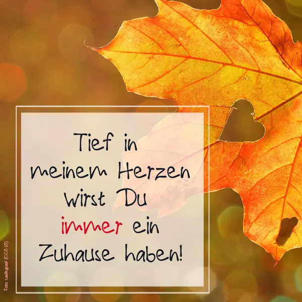 Condolence image of Paul