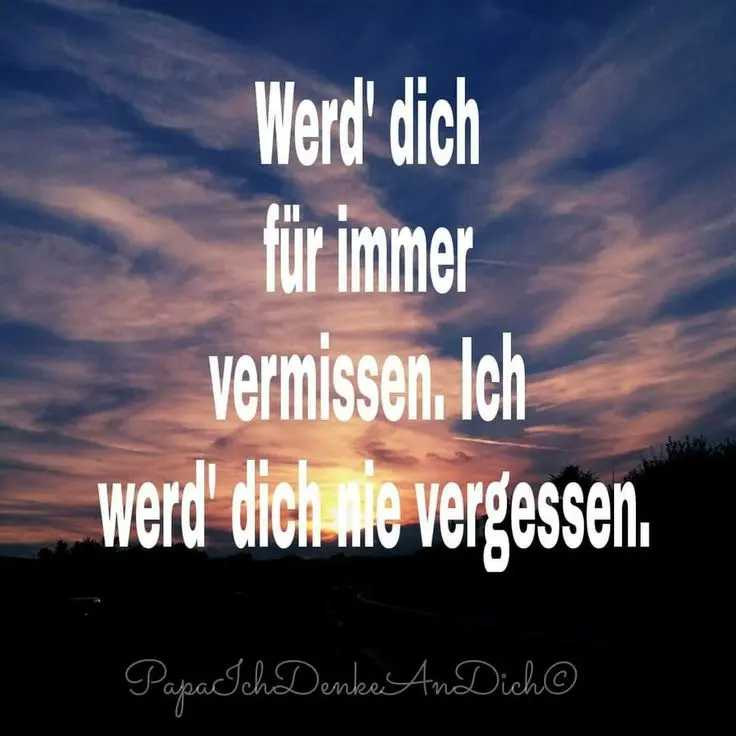 Condolence image of "Spiky"