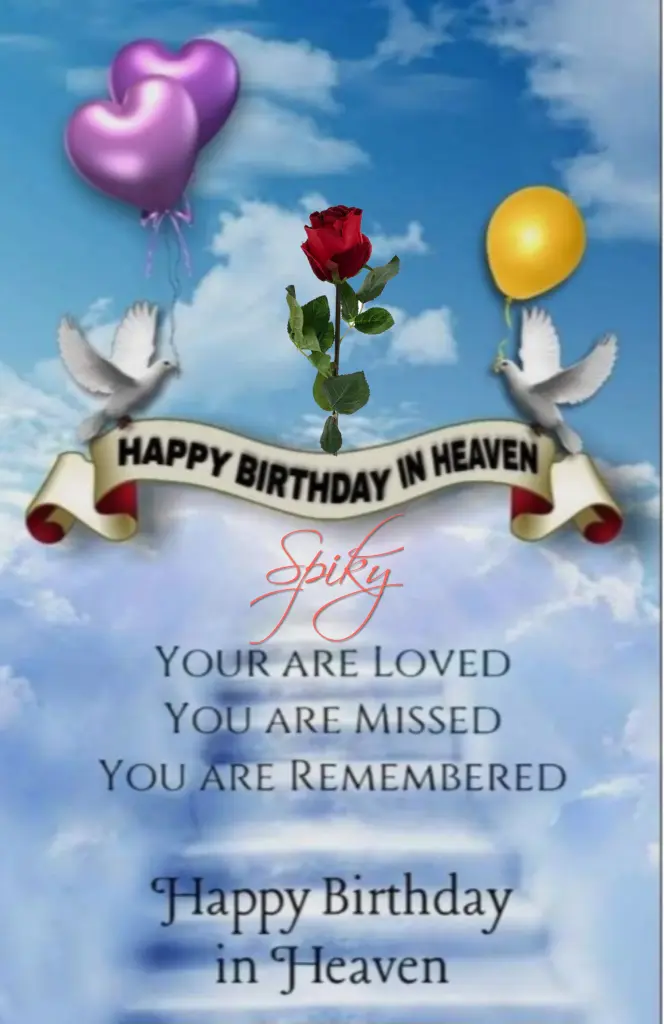 Condolence image of Happy Birthday lieber Spiky♥️