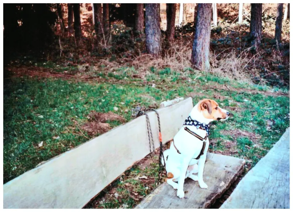 Condolence image of Paul