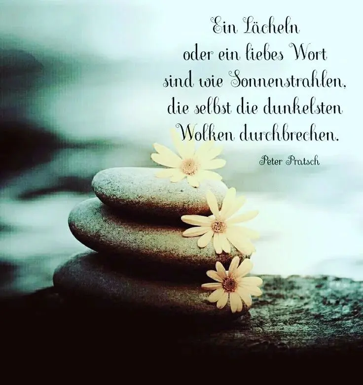 Condolence image of Paul mit "Seelenhund Spiky im Herzen"