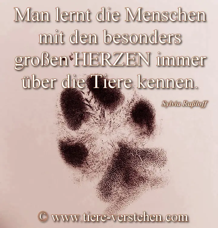 Condolence image of Paul mit "Seelenhund Spiky im Herzen"