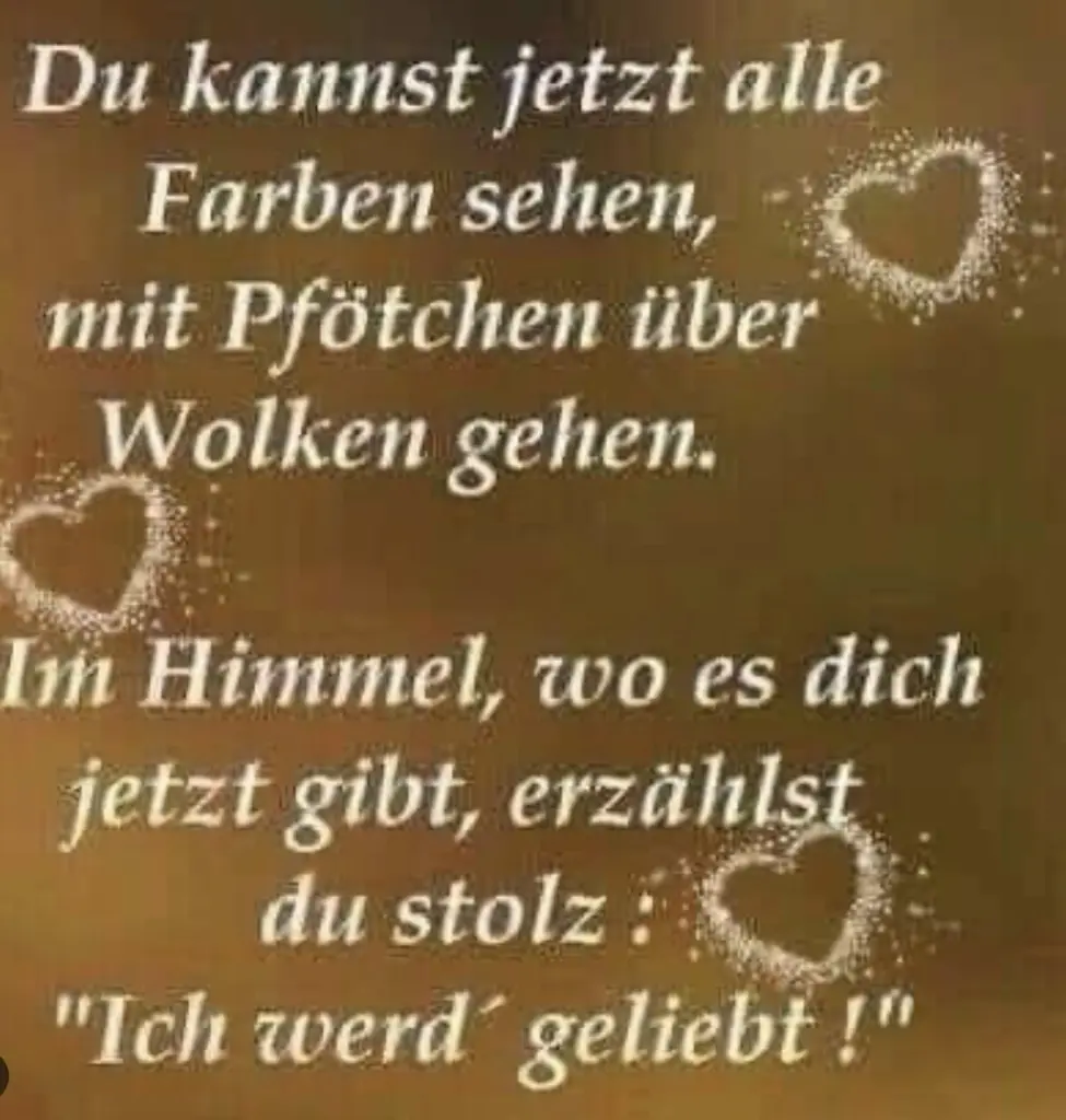 Condolence image of Wenke mit Lilli im❤️