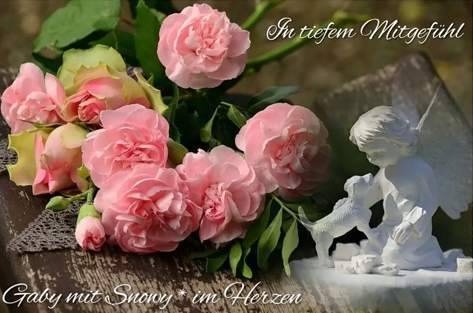 Condolence image of In liebevollem Gedenken♡ 