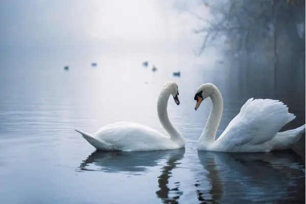 Condolence image of Iris mit Linus und Eliot im ♥ 