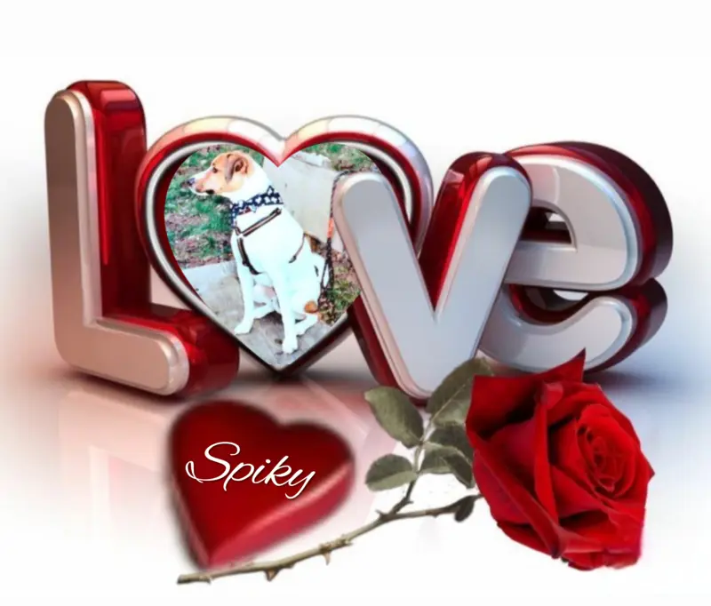 Condolence image of Paul