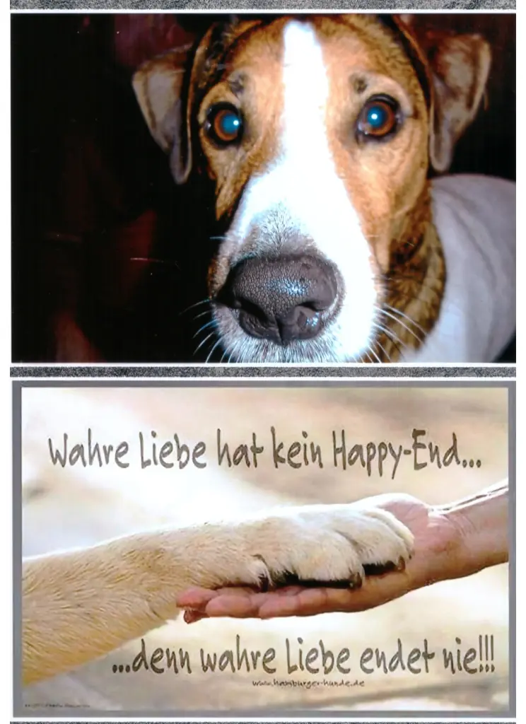 Condolence image of Paul