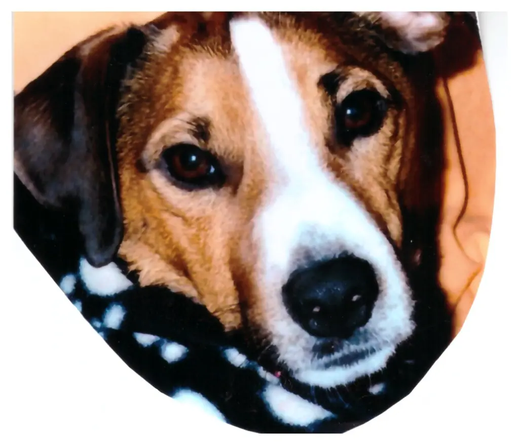 Condolence image of Paul