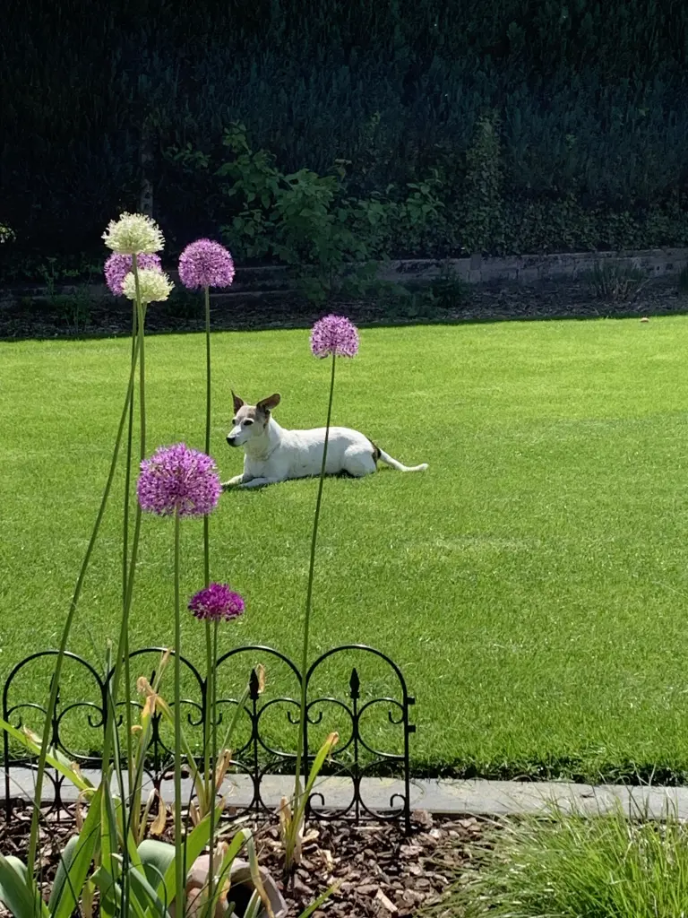 Condolence image of Mona