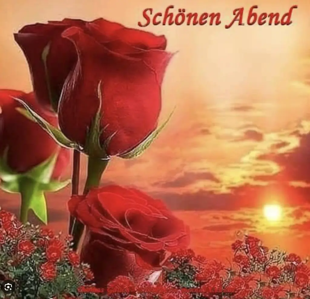 Condolence image of Wenke mit Lilli im❤️