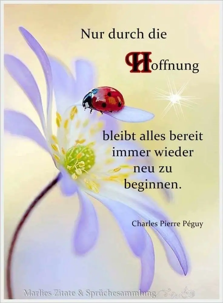 Condolence image of Paul mit "Spiky" im Herzen!