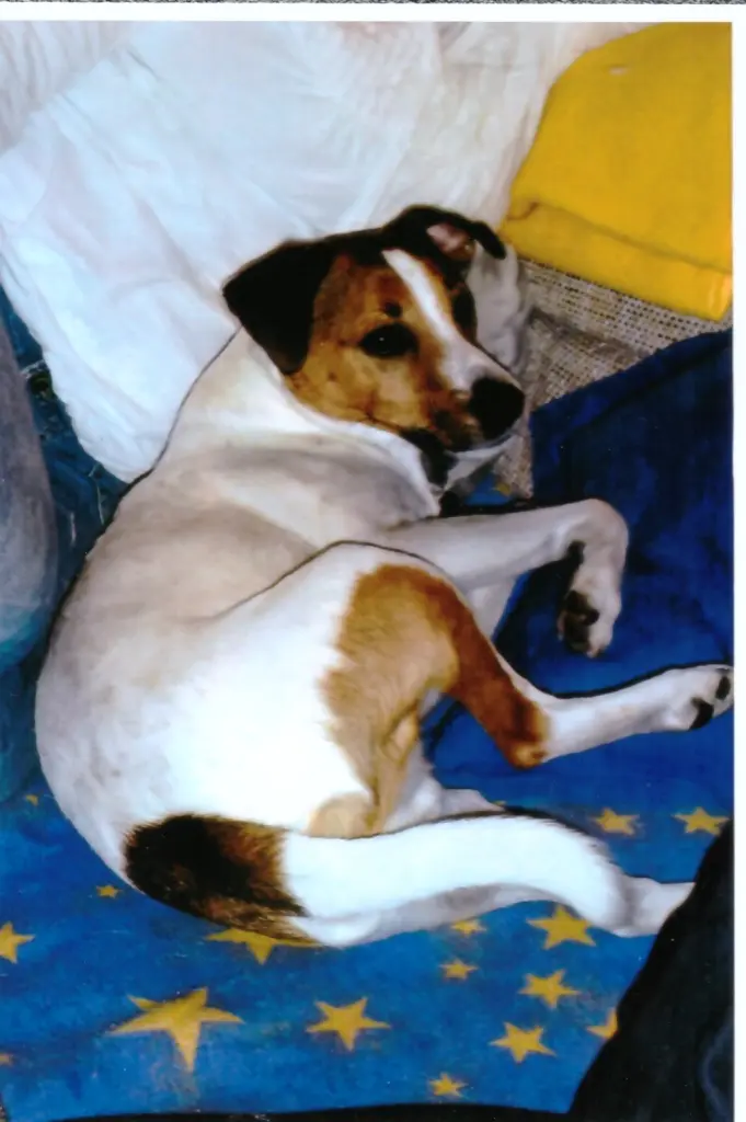 Condolence image of Paul