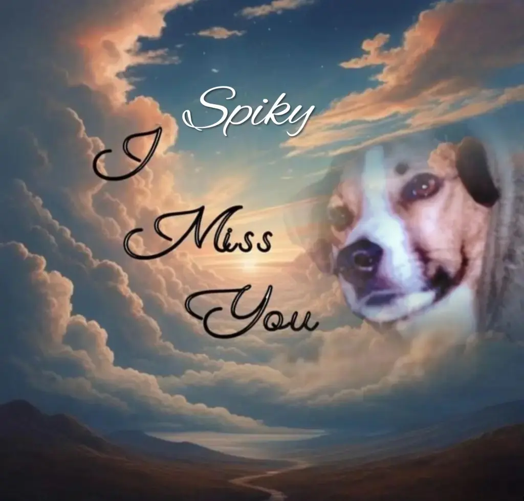 Condolence image of Paul