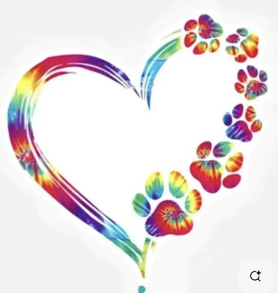 Condolence image of Paul mit "Spiky" tief im Herzen